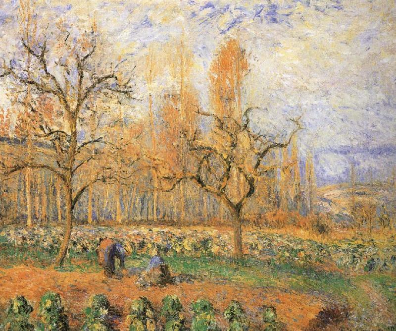 Camille Pissarro Farmland landscape Sweden oil painting art